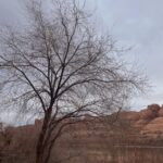 Paris Jackson Instagram - good to be back to moab after 10 years