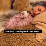 Camilla Luddington Instagram - Can’t we all just nap this week?