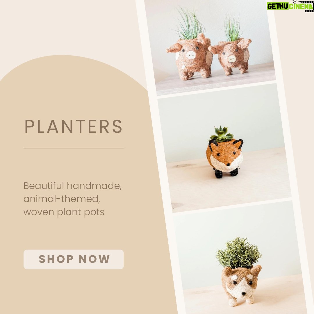 Katherine Heigl Instagram - Kinda obsessing about these incredibly cute and whimsical animal planters. Just spruced up my space with these adorable little guys! They are instant mood boosters and bring a smile to my face every time I walk by. Each one is a miniature work of art, handwoven by Philippine artisans. Totally unique and at newlaneroad.com!
#NLRM #NewLaneRoad #Planters #Animals