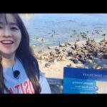 Park Bo-young Instagram - #어쩌다사장3