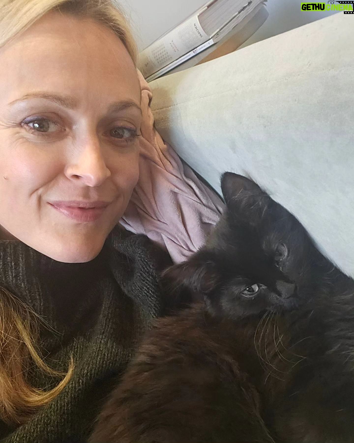 Fearne Cotton Instagram - A week where...
🟢 @michkeegan and I talked 'happy hermits' on the @happyplaceofficial
Podcast.
🟢Frank settled into his new home. It's one week since we picked him up from @themayhew and he is one happy boy. The integration with Simon has gone so well too. They are play fighting and hanging out quite happily. I'm so relieved.
🟢I made an old @jamieoliver
birthday cake recipe which was much enjoyed.
🟢I realised the older I get the more uncomfortable I'm finding it to put myself out there. My little insta feed feels safe to an extent as you've made a choice to follow me, but this week I stepped into other peoples spaces; TV and radio shows where Im open to all sorts of judgement. It's interesting to poke around in that discomfort and wonder why collectively we often feel we need to be liked by everyone to be ok. Im up for challenging that one in the name of mental peace.