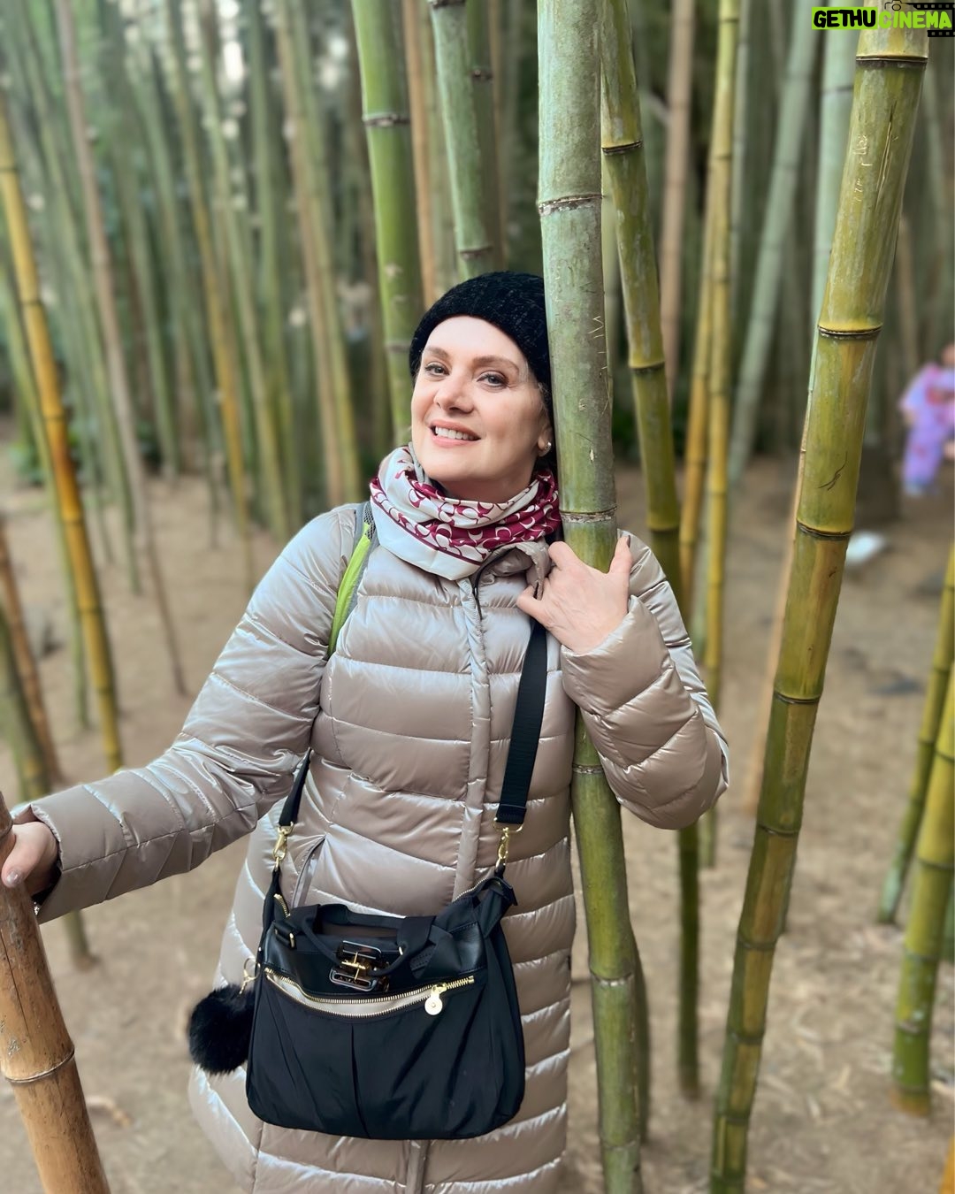 Erika Buenfil Instagram - Y entonces Japón me dio tantas alegrías, y me llenó de energía, y nuevas amistades, y experiencias únicas.