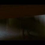 Sahar Dolatshahi Instagram – اكران فيلم ” عرق سرد ” شروع شده. اميدوارم فيلم رو در سينما ببينيد و دوست داشته باشيد. ✌🏻💕🌷