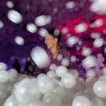 Nicolás Vázquez Instagram – Ayer festejamos el reestreno y la sala llena con todo el equipo de Tootsie como niños en @blowupexperience 
exposición de Arte Inflable, que manera de disfrutar y reírnos. 
@dgexperiencecom y cenamos en un lugar espectacular como
@barreto_larural en la rural.
Bendecidos por tanto!!
