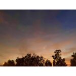 Narges Mohammadi Instagram -