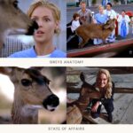 Katherine Heigl Instagram – Hollywood is a small town. You often work with the same faces again and again…