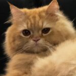 Pattranite Limpatiyakorn Instagram - หรือแค่อยากทำให้คิดถึง?