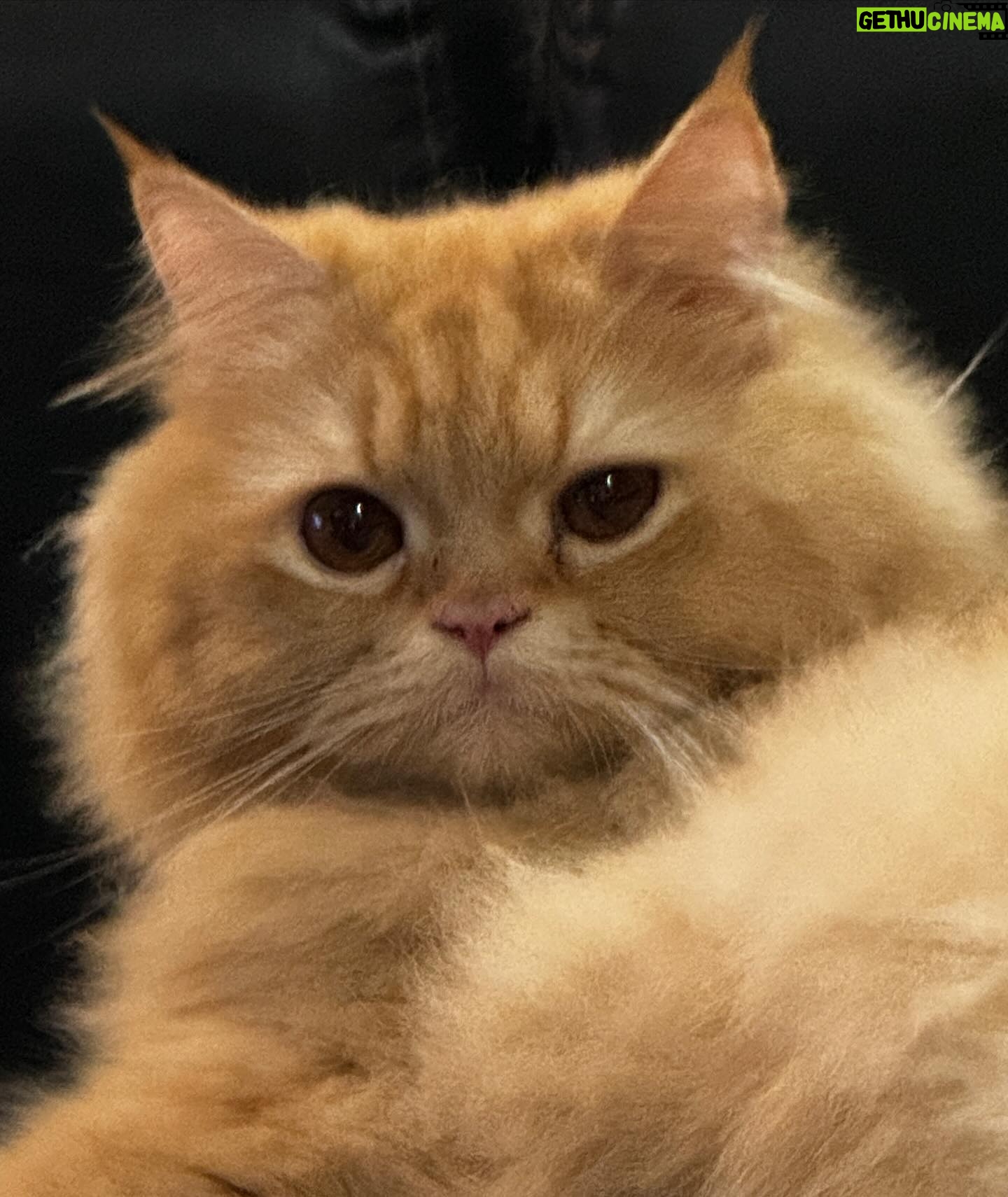 Pattranite Limpatiyakorn Instagram - หรือแค่อยากทำให้คิดถึง?