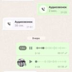 Kristina Asmus Instagram – Это голосовое Гарику, в котором я рассказываю, что наша дочь всю жизнь думала, что я – обладательница премии Оскар 😂😂😂 
Настя, спасибо, так в меня ещё никто не верил 😂

Спасибо инстаграму, моим родителям и тебе, дорогой подписчик, что я могу выложить этот пост. Обещаю, что и впредь буду прикладывать максимум усилий для новых шуток. Простите меня, другие аккаунты, если вдруг вы сегодня окажетесь менее заметными, для меня честь быть в ленте среди вас. Спасибо ещё раз всем огромное! Ваши лайки и просмотры будут долго напоминать мне о непростом пути к этому посту. Спасибо! 😅