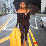 NeNe Leakes Instagram - SWIPE: When it’s cold outside, who are you holding 😝