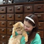Pattranite Limpatiyakorn Instagram - 🐱
#MLBTheYearOfDragon 

#mlbthailand #mlbcrewth