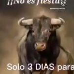 Scarlet Ortiz Instagram - Tanta verdad en tu boca mi bella @marianvalerooficial que tristeza! #latauromaquianoesculturaestortura 
Me cuesta mucho entender que todavía se piense que la tauromaquia es cultura y algunos lo llaman arte 🤦🏻‍♀️ No puedo entender cómo puede divertir el ver a un animal ser torturado hasta matarlo? Por qué tanta crueldad? Y de verdad nooooo me interesa nada que puedan decir para justificarlo!!! 
  Y si volvemos al coliseo? Sería divertido? 
#noalmaltratoanimal