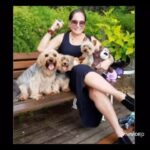 Susana Vieira Instagram – Meus filhos! Meus amores! Recebi esse vídeo e fiquei encantada 🐶🐶🐶🐶