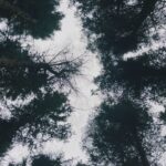 Kōki Instagram – 愛情いっぱいのチームに支えられています☺️💗

3枚目の写真は
スタッフが早朝の支度部屋で、「プレゼントがあるから目を閉じて！」と、朝会った時に言われ、そしてオッケーで目を開いたら、そこにはとっても可愛い子達がいました。
「お家のわんちゃん達に会えなくて寂しいでしょ！この子達で寂しさが紛れるかな？」と、プレゼントしてくれたぬいぐるみです🥹
優しさにうるうるしました☺️