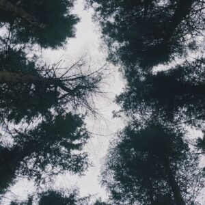 Kōki Instagram - 愛情いっぱいのチームに支えられています☺️💗

3枚目の写真は
スタッフが早朝の支度部屋で、「プレゼントがあるから目を閉じて！」と、朝会った時に言われ、そしてオッケーで目を開いたら、そこにはとっても可愛い子達がいました。
「お家のわんちゃん達に会えなくて寂しいでしょ！この子達で寂しさが紛れるかな？」と、プレゼントしてくれたぬいぐるみです🥹
優しさにうるうるしました☺️