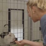 Katherine Heigl Instagram – 🐾 Love comes in all shapes, sizes, and breeds! Valentine’s Day isn’t just for couples; it’s for families, and that includes your future furry family member. Consider adopting a pet and create a love-filled home. 🏡❤️
If you’re not sure where to start, head over to @jasonheiglfoundation for more information. 🐾 #AdoptDontShop
•
•
•
#BadlandsRanch #BadlandsRanchPets #BadlandsRanchByKatherineHeigl #JasonDebusHeiglFoundation #Adoption #AdoptionStories #DogAdoption #Furever #FureverLove #FureverLoveCampaign
