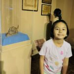 Beauty Gonzalez Instagram – The National Museum is always a good idea🤍
Swipe to the last photo to see our favorite Sculpture
By Our National Hero Jose Rizal. 
It is titled ‘ Mother’s Revenge’
It shows a Mama Dog viciously attacking a Crocodile who has just eaten its Puppy. 
I really wanted Olivia to see that. 
Fair Warning! He he