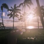 Tori Kelly Instagram – ooo sa sa sa sa sad i had to leave hawaii