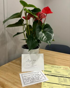 Fan Bingbing Instagram - Feeling blessed to have the opportunity to work alongside such a genuinely kind soul like Liam. Thank you for the beautiful flower and Chinese New Year wishes! 🌟💕

#liamneeson