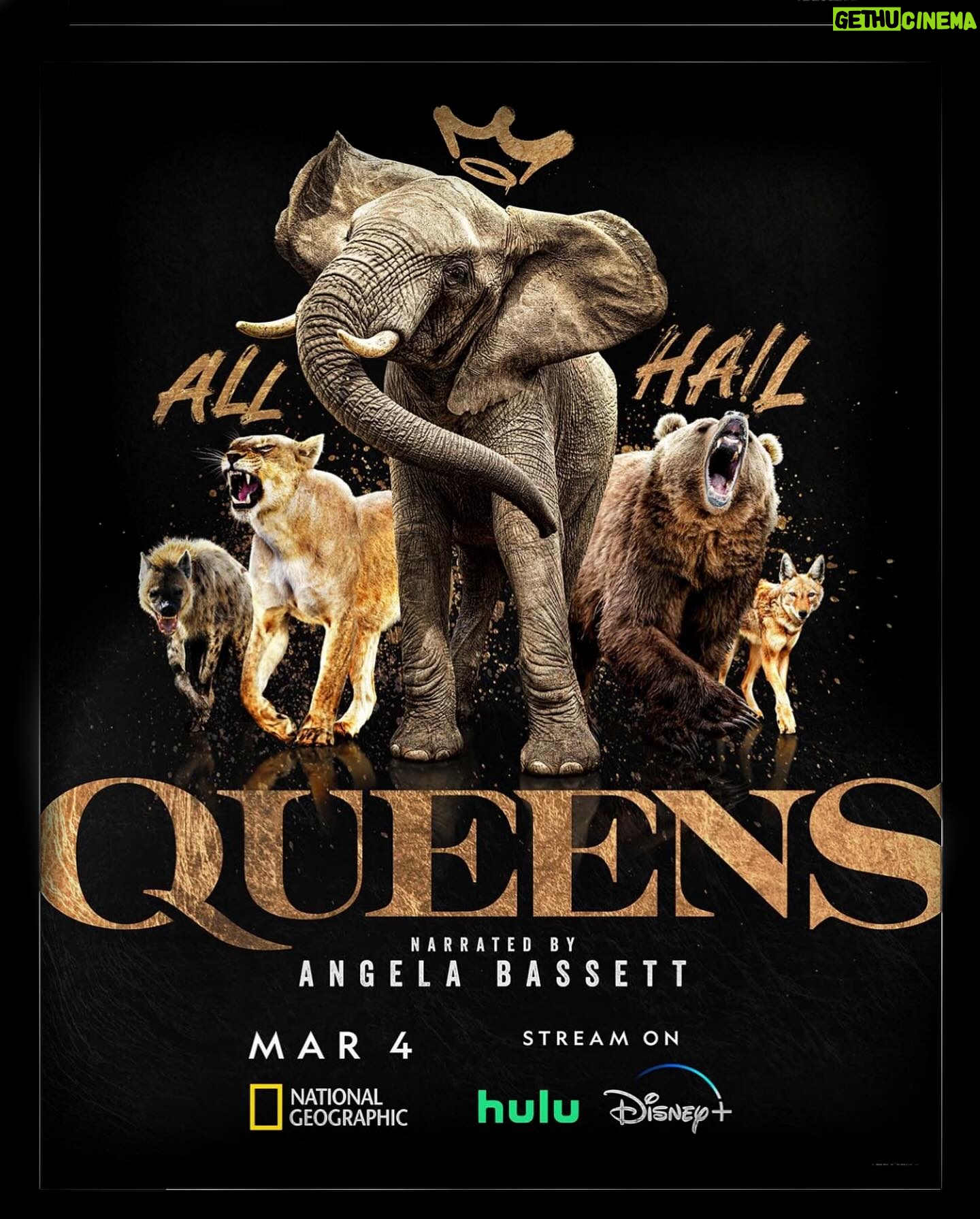 Cynthia Bailey Instagram - βall hail the queen.βπ
thank you @natgeotv@hulu & @disneyplus for a wonderful evening. the world premiere event for QUEENS was incredible! congratulations to the ALL women team & crew that worked on this film.
@im.angelabassett you did a beautiful job narrating the movie.
#QUEENS
photo credit: @gettyimages
dress: @jovanifashions