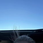 Kelsea Ballerini Instagram - some @michaelkors magic and miscellaneous things