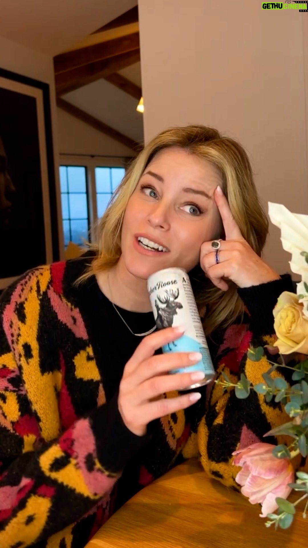 Elizabeth Banks Instagram - Canned wine: Brilliant ✅ Active ✅ Hand gesturing ✅ Don’t feel restricted ✅ Not spilling all over the place ✅ It’s always @archerroosewines for me 😎