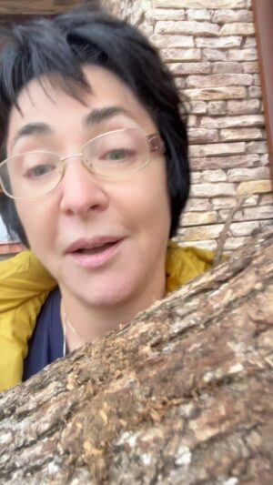 Lolita Milyavskaya Instagram - Всем, кто писал под моими постами «бабка», посвящаю и подтверждаю гордость за пенсионное удостоверение☝️⠀
Моя пенсия составляет 23 856,55 копеек! Спасибо Москве за надбавку🙏❤️⠀
Хорошо, что я помогаю людям и содержу семью на честно заработанные и отложенные. Интересантам подтверждаю, что никогда по налогам претензий не было☝️Я щепетильна.