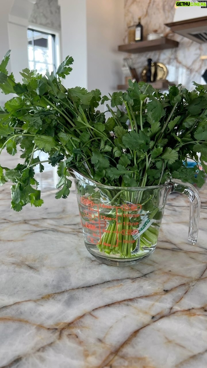 Ree Drummond Instagram - Stick yer wilted herbs in water. 😊 (That sounds like a country song.)