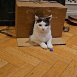 Fearne Cotton Instagram – Honey made Simon and Frank a house. There are currently some issues with this shared accommodation. A bit of rough and tumble ironed it out, with the bigger chap victorious in the end.