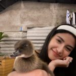 Sanya Lopez Instagram - Itik po talaga pet ko dati 😂🤣😂🐣💕
