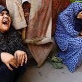 Hend Sabry Instagram - By the time you finish reading this post , at least one more woman will be killed or starved to death in #Gaza.. while the ethnically « selective »feminists silence is deafening !
#internationalwomensday #notahappyinternationalwomensday