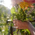 Nikki Reed Instagram - Taking a moment today (and every day) to celebrate the women around me who own and operate conscious companies that inspire me daily, who uplift me, who shape me, who have moved me in ways they might not even know. The more I work with my hands both on my farm and within my company, the more the word community comes to mind. The land has been such a tangible metaphor for this. Farms build community. They inspire connection, sharing of tips and helping hands and food and experience. And similarly, small businesses build community. They cultivate sisterhood, support, a sense of purpose, of cross pollination, of nurturing - and this community has quite literally shaped me into the woman I am. I can’t think of International Women’s Day without thinking about this incredible global community of those I know, some I don’t know, and some who I know only through this digital space. While there are hundreds of women who have been a part of my journey and me a part of theirs, probably too many to list here, I wanted to take a moment to highlight some who are top of mind today. Sending all of my love and gratitude to all of the women everywhere who I know, or know of, who have wrapped their arms around my soul🍋🌿✨

@grazielagems @earthandelement @heritagegoodsandsupply @poppyandsomeday @kitx @dazedbutamazed @baeobaby @motherofpearl @liviafirth @lamidwifeabby @mynajeau @kleibeauty @activistmanuka @melissawoodtepperberg @anemoslosangeles @tinyheartseducation @samidrasin @hborganics @life.elements @nina_karnikowski @nagnata_ @milkandseed