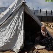 Hend Sabry Instagram - By the time you finish reading this post , at least one more woman will be killed or starved to death in #Gaza.. while the ethnically « selective »feminists silence is deafening !
#internationalwomensday #notahappyinternationalwomensday