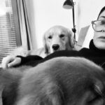 Vanessa Incontrada Instagram - Zelig, Tokyo e mamma Vane 🥰🥰🫶😂