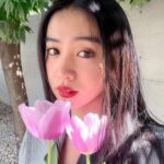Kōki Instagram - OOTD 🌷💗💄

優しい色のチューリップ☺️

Merci @louisvuitton
