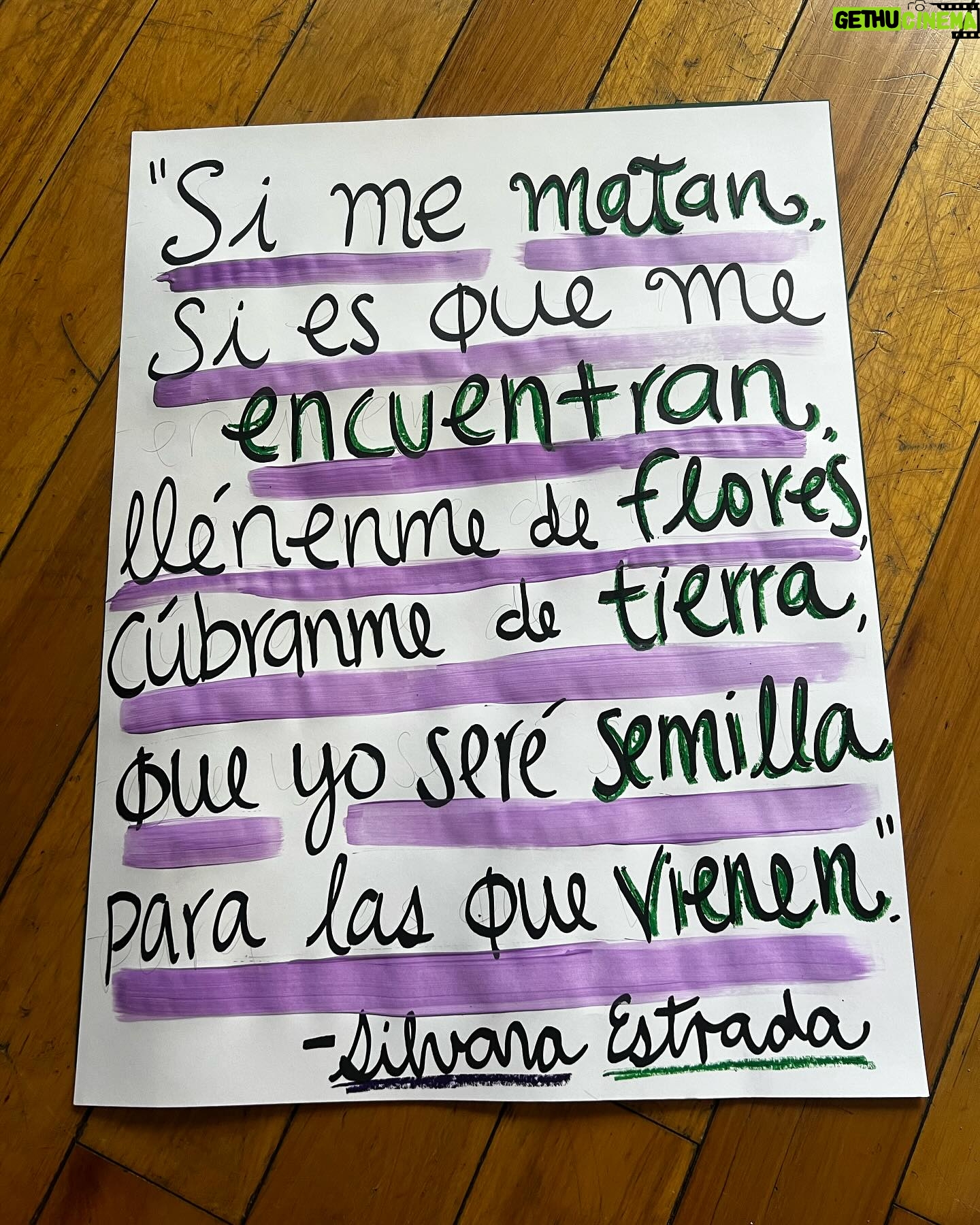 Regina Blandón - 109.7K Likes - #8M #8marzo #8m2024 💜💚🩷🍉🏳️⚧️
