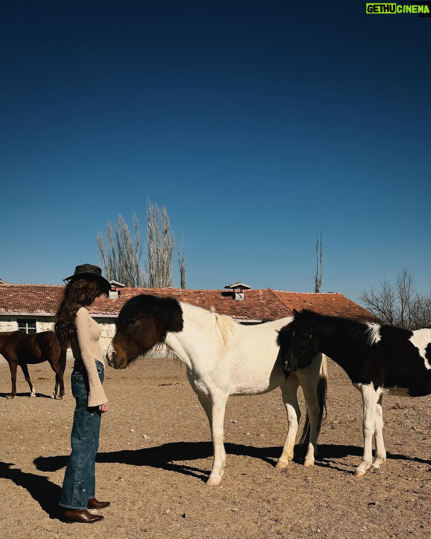 Dilan Çiçek Deniz Instagram - Yee-haw 🤠