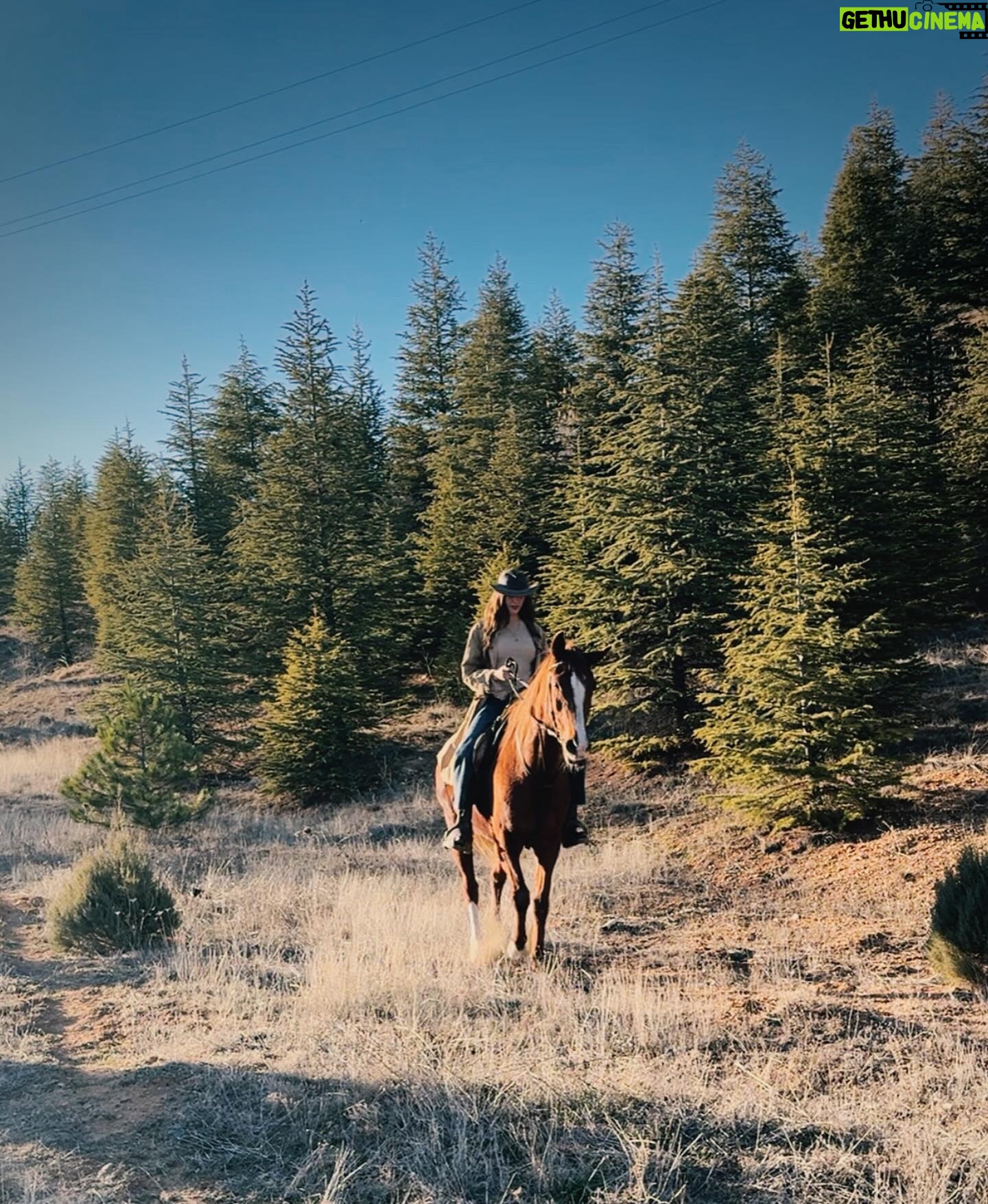 Dilan Çiçek Deniz Instagram - Yee-haw 🤠