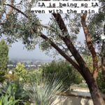 Elizabeth Banks Instagram – LA, you pretty.