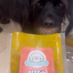 Scarlet Ortiz Instagram - Graciassss @happybitedog por esta comida deliciosa y sana para mi Negrito Dollar de Jesus! #happybite #dogs #doglover #dogfood #perros #perrofeliz #comidaparaperros