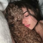 Olivia Culpo Instagram – A lil of a lot ♥️