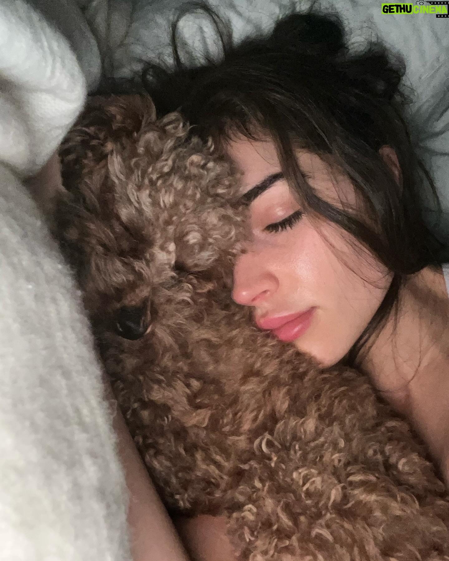 Olivia Culpo Instagram - A lil of a lot ♥️