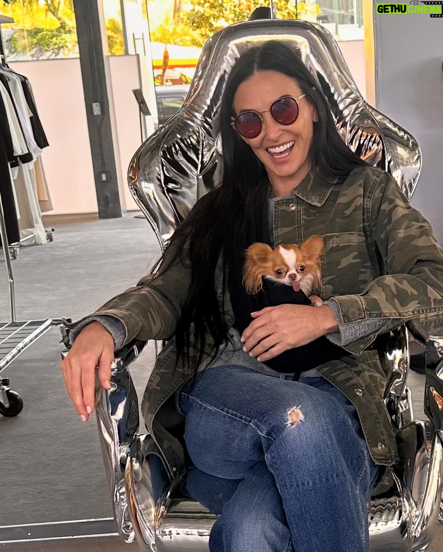Demi Moore Instagram - Pilaf and I had a little excursion to @thefrankieshop! She helped me pick out this fabulous jacket and matching @oliverpeoples glasses, and finally had her moment in the amazing @crosbystudios chair from the campaign π