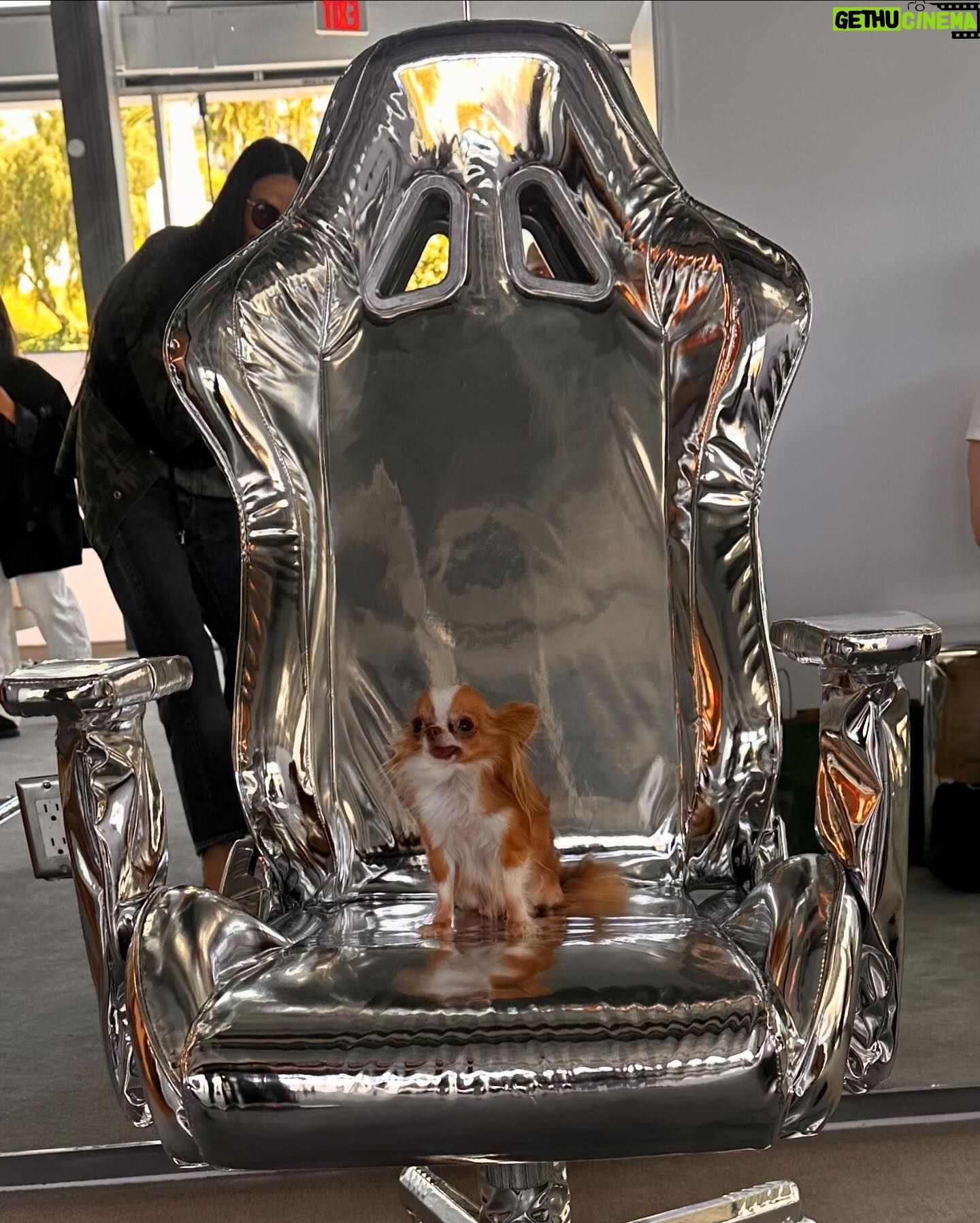 Demi Moore Instagram - Pilaf and I had a little excursion to @thefrankieshop! She helped me pick out this fabulous jacket and matching @oliverpeoples glasses, and finally had her moment in the amazing @crosbystudios chair from the campaign π