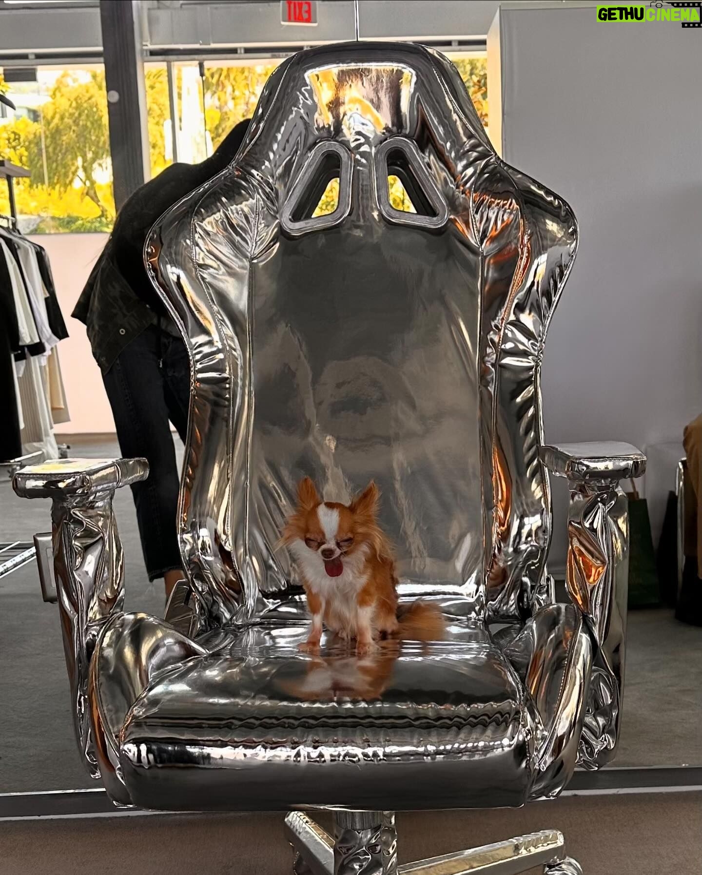 Demi Moore Instagram - Pilaf and I had a little excursion to @thefrankieshop! She helped me pick out this fabulous jacket and matching @oliverpeoples glasses, and finally had her moment in the amazing @crosbystudios chair from the campaign π
