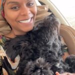 Tabitha Brown Instagram - Apparently Saturdays are for sleeping in and cuddling ❤️ per @iamblackybrown … honey he ain’t quite ready for the day yet😂. #tabithabrown #furbaby #dogsofinstagram #dog #cockapooterrier