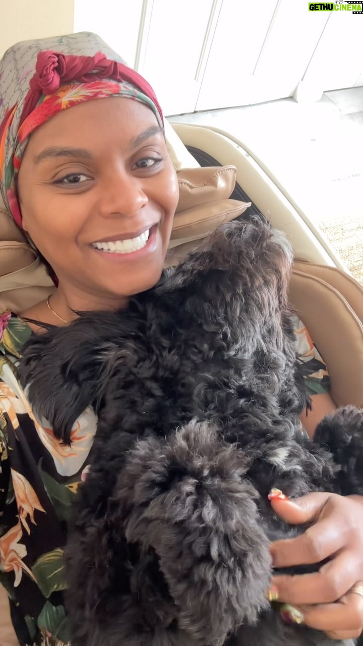 Tabitha Brown - 70.4K Likes - Apparently Saturdays are for sleeping in and cuddling โค๏ธ per @iamblackybrown โฆ honey he ainโt quite ready for the day yet๐. #tabithabrown #furbaby #dogsofinstagram #dog #cockapooterrier
