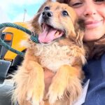 Elisabetta Canalis Instagram - Hey , did you know that at the shelters there are beautiful and healthy dogs ready for adoption?
Meet Darla , little Boston Terrier . She’s very sweet and loving ❤️
Meet Isabelle little chiuaua mix who loves sitting on your lap and being cuddled .
Meet Charlie , a blonde and furry mix who loves walking at leash and exploring the surrounding, he also has a  fun and playful personality ! 
The last beautiful lady is Bonnie a young and sweet  Doberman who is looking for her forever home! 
They are just few of the  guests at West Los Angeles Animal Shelter located in 11361 West Pico Blvd.
• Los Angeles, CA 90064
Link in bio