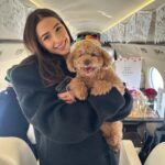 Olivia Culpo Instagram – A lil of a lot ♥️