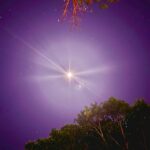 Sanya Lopez Instagram - moon, stars and fireflies…